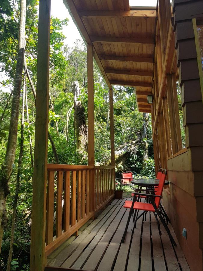 Finca Terra Viva Монте-Верде Экстерьер фото