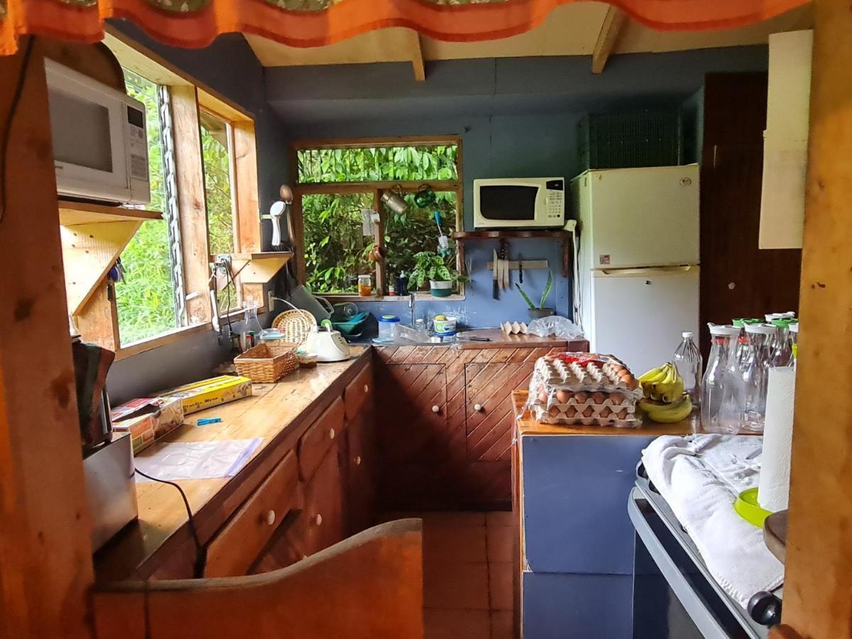 Finca Terra Viva Монте-Верде Экстерьер фото