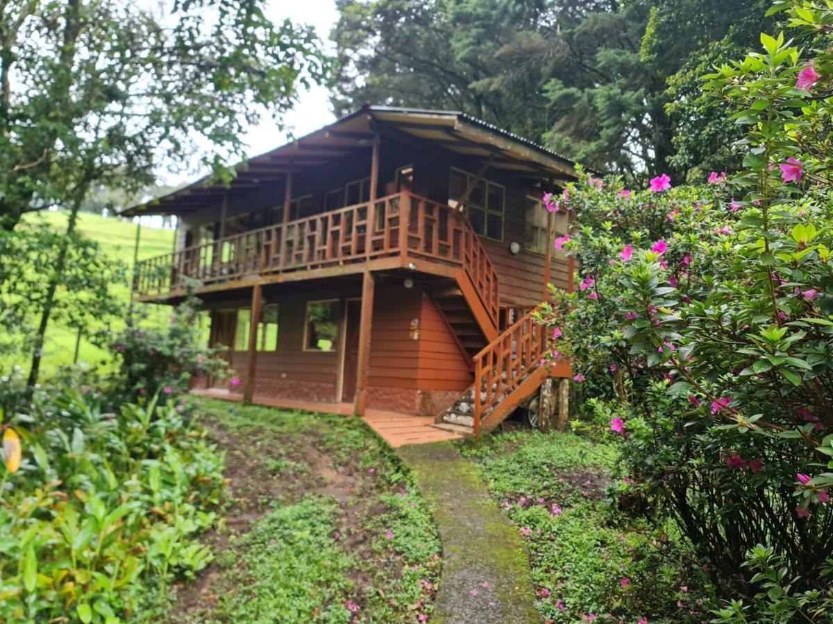 Finca Terra Viva Монте-Верде Экстерьер фото