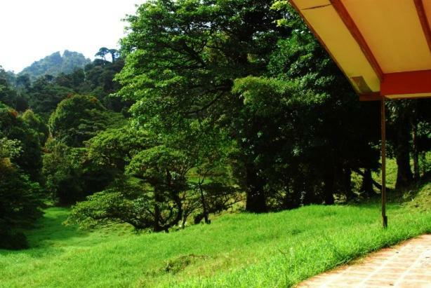 Finca Terra Viva Монте-Верде Экстерьер фото
