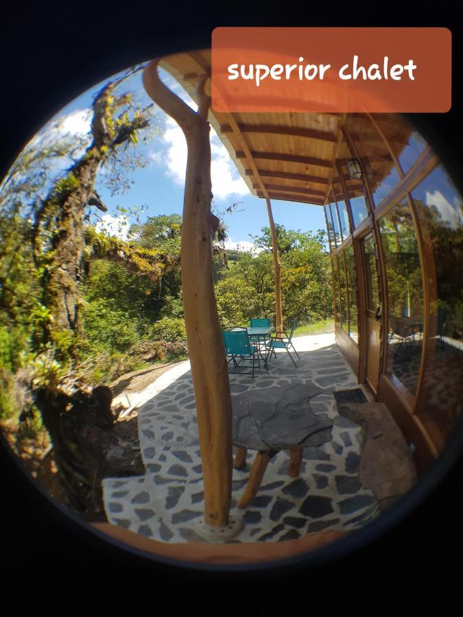 Finca Terra Viva Монте-Верде Экстерьер фото