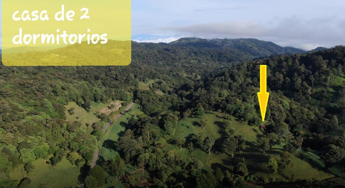 Finca Terra Viva Монте-Верде Экстерьер фото